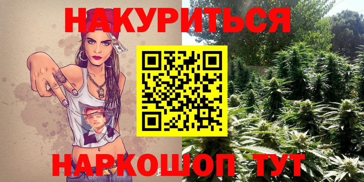 Шишки марихуана ГИДРОПОН Кириши